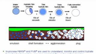 Gas Hydrates Formation amp Flow Assurance  How to Monitor amp Control [upl. by Siramed614]