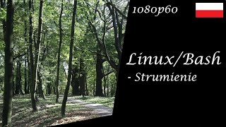 LinuxBash Przekierowywanie strumieni strumienie procesu stdin stdout stderr [upl. by Eleda]