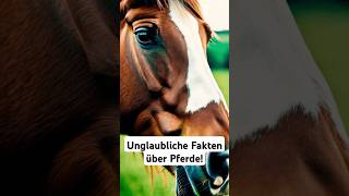 Unglaubliche Fakten Über Pferde facts fakten pferde horses tierwelt natur pferdeliebe [upl. by Analos381]