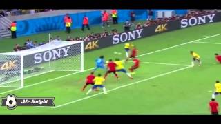 Guillermo Ochoa Saves VS Brazil World Cup 2014 [upl. by Eiddal196]