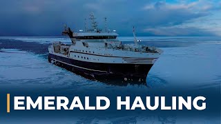 Emerald Hauling and Setting Triple Trawls  Fishing For Prawns In The Barents Sea [upl. by Nyleaj]