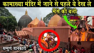 🕉  Maa Kamakhya temple  मंदिर के सम्पूर्ण दर्शन के साथ जानिए मन्दिर से जुड़ी राज  kamakhyatemple [upl. by Nitsuj840]