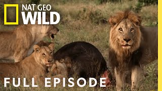 Mother of Lions Full Episode  Savage Kingdom [upl. by Nosral476]