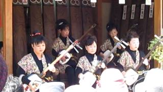 Shamisen  Traditional Japanese Musical Instrument [upl. by Licastro]