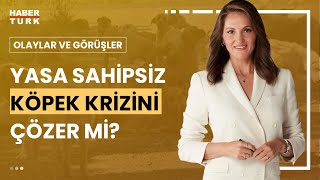 Sahipsiz köpek yasası nasıl işler I Olaylar ve Görüşler  30 Temmuz 2024 [upl. by Janella]