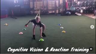 Evan Rotundo Improves Explosiveness Vision amp Scores 3 in 1 Elite Training [upl. by Yrac46]