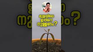 പിന്നെ പറഞ്ഞിട്ട് കാര്യമില്ല The Secrets To Keeping Things In Check With These Malayalam Tips [upl. by Cosmo307]