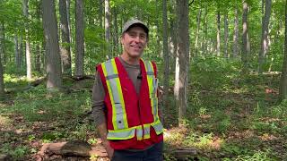 Resources from the Ontario Woodlot Association [upl. by Bertold]