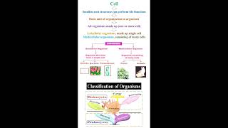 Fundamental of Cell Theory geneticteacher [upl. by Lynde]