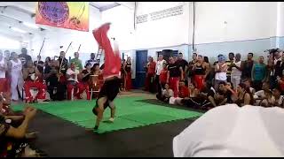 2016  Acrobacias Batizado Mestre Pinguim Barauna [upl. by Savitt]