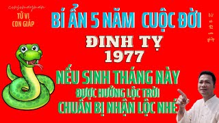 TỬ VI – Tiết Lộ Bí Ẩn Cuộc Đời Đinh Tỵ 1977  Năm 5 Tới Nếu Sinh Tháng Này Nhận Lộc To  Consomayman [upl. by Robbert]