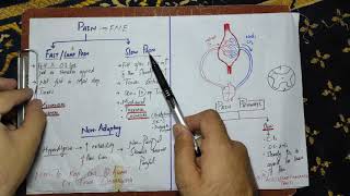 physiology guyton chapter 49Pain physiologypain classification and causes sensory physiology [upl. by Ardenia]