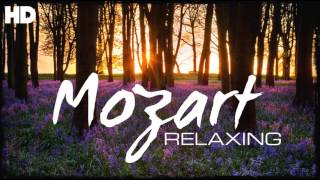 The Best Relaxing Classical Music Ever By Mozart  Relaxation Meditation Reading Focus [upl. by Jevon645]