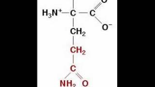 The Amino Acid Song original song [upl. by Uhile]