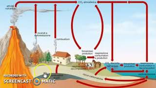 Il ciclo del carbonio [upl. by Ress]