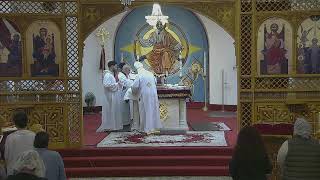 St Maurice Coptic Orthodox Church Live [upl. by Acinorav270]