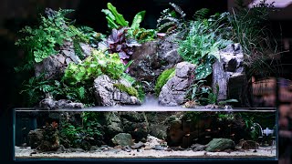 We Gave a NEW LOOK to our MONUMENTAL Paludarium [upl. by Suciram557]