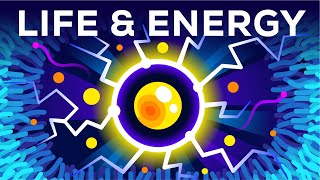 Why Are You Alive – Life Energy amp ATP [upl. by Sirrep880]