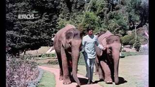 Dhak Dhak Kaise Chalti Hai Video Song  Haathi mere saathi [upl. by Aivekahs367]