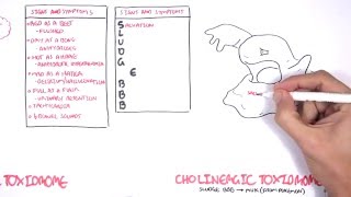 Cholinergic and Anticholinergic Toxicity Toxidrome [upl. by Colb]