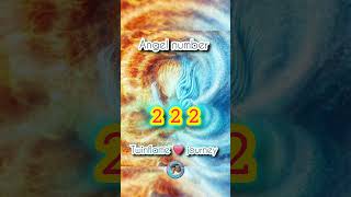 Angel number 222 meaning in Twinflame journey hindi angelnumbers twinflame shorts [upl. by Iborian]