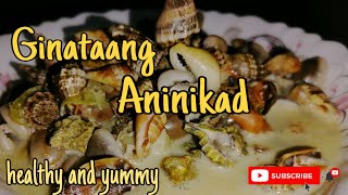 How to cook ginataang aninikadplicate conchlutoniLaviel09healthy and nutritious seashell [upl. by Apul]