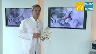 Prof Dr Diehl LabrumKnorpelschaden Hüftgelenk amp minimalinvasive Versorgung [upl. by Eelsnia]