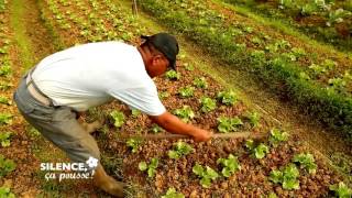 LA LOI GIRARDIN ETHIQUE ET SOLIDAIRE AVEC LES HMONGS DE GUYANE [upl. by Asiole]