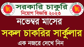 নভেম্বর মাসের সকল সরকারি চাকরির সার্কুলার। November all govt jobs circular 2023 । All Jobs [upl. by Eikcin]