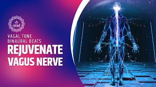 Rejuvenate Vagus Nerve for Serenity and Bliss  Vagal Tone Binaural Beats Meditation Music [upl. by Ury]