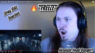 Stray Kids quot땡FREEZEquot Video Reaction ABSOLUTE HEAD BANGER [upl. by Elton]