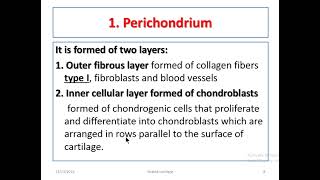 Cartilage histology [upl. by Nanji]