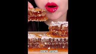 ASMR RAW HONEYCOMB COMPILATION 벌집꿀 먹방 모음 MUKBANG EATING SOUNDS 咀嚼音 [upl. by Hutt]