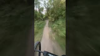 santacruzbicycles2841 Santa Cruz Chameleon down hill run [upl. by Earehs]