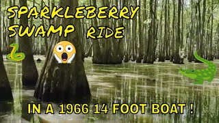 Sparkleberry Swamp Ride Lake Marion South Carolina Santee Area In A 1966 John Boat [upl. by Emerald]