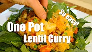 One Pot  Red Lentil Curry Easy [upl. by Zacharias]