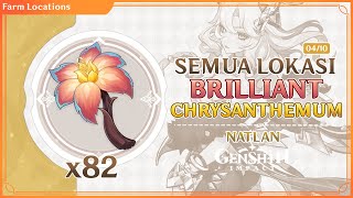 SEMUA LOKASI BRILLIANT CHRYSANTHEMUM GENSHIN IMPACT  LOCATIONS amp FARMING ROUTE XILONEN MATERIAL [upl. by Assek]