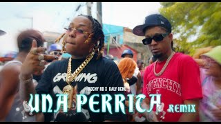 Rochy RD ❌ Kaly Ocho 🎱  Una Perrita 🐩 Remix Video Oficial [upl. by Ennaitsirhc285]