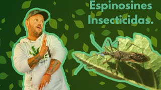 ¡Como Actuan los Insecticidas Espinosines [upl. by Joby]