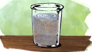 Mind in a Jar  Planting Seeds of Mindfulness MOVIE [upl. by Fawne526]