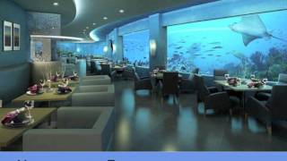 The Hydropolis  Underwater Luxury Boutique Hotelmov [upl. by Ahtela]