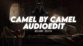 Camel By Camel  AUDIOEDIT [upl. by Hgieloj]