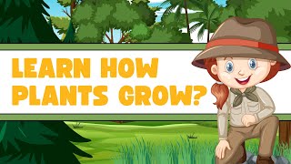 ABCD  How do plants grow Process of plant growth and Germination of seed  How to grow plants [upl. by Modern973]