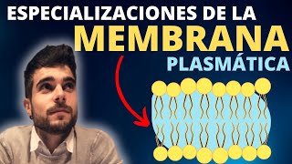 La MEMBRANA PLASMÁTICA ESPECIALIZACIONES [upl. by Bello]