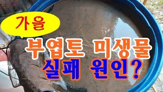 부엽토미생물 만들기 추운가을 당신만 모르는 실패원인 [upl. by Rodrich]