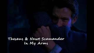 Theseus amp Newt Scamander  In My Arms Spoilers [upl. by Naejamron]