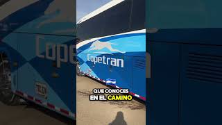 COPETRAN busespopayan [upl. by Fattal337]