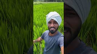 Bank loan  lifestyle vlog agriculture  villagefarmingvillagelife [upl. by Claretta]