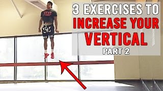 3 Exercises To INCREASE YOUR VERTICAL Pt2  JUMP HIGHER  The Lost Breed [upl. by Shwalb]