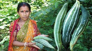 Snake Guard with Egg Recipe by my Mother  Beautiful Village Chichinda Cooking [upl. by Attelrahc]